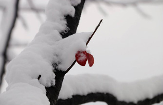 First Snow in 2018