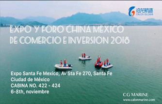 Our Company Is Holding Exhibition In Mexico